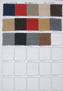 Suede Color Charts 4 of 4