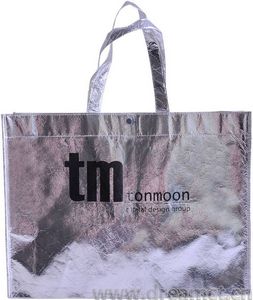 Silver Tote Bag with Snap